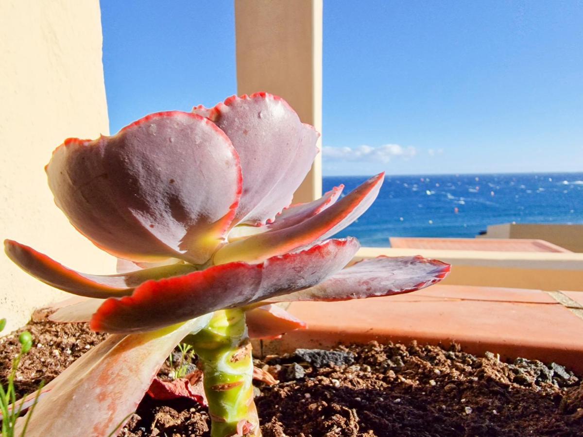 Medano4You The Ocean Terrace Penthouse El Médano Kültér fotó